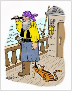 cat-pirate-scratch-post-cartoon