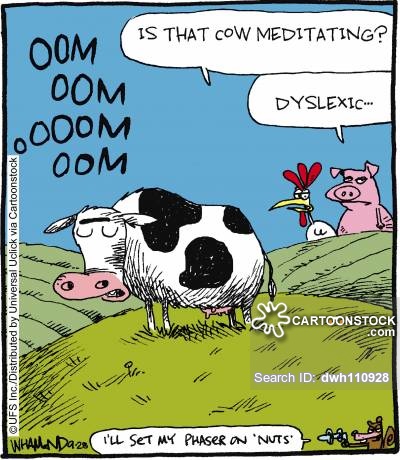 'Is that cow meditating?' 'Dyslexic.'